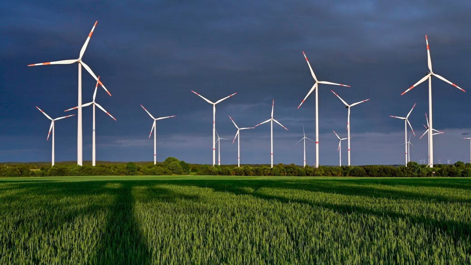 Schalke 04: Wer wird die neue Nummer 1? Karius, Golz oder ein Überraschungskandidat Burgenland fordert faire Aufteilung von EU-Klimastrafen nach Klimaleistung