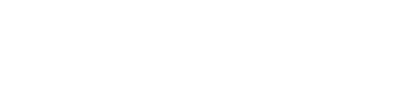 Nürnberger Tageszeitung